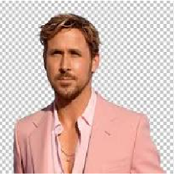 Goslings-Ryan_and_the_Goslings icon