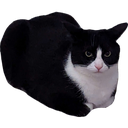 Greyull-MochiValuable icon