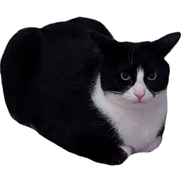 Greyull-MochiValuable icon