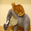 GriddyGangLLC-Griddy_Gang_LLC icon