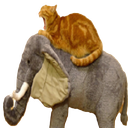 Griddy_Gang-Griddy_Gang_LLC icon