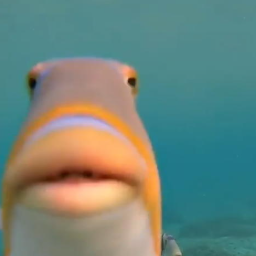 GrimCrumbz-Mudflap_Modpack icon