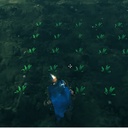 Grizzzly-MassFarming icon