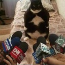 GuantesGuaton-SunnFV icon