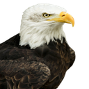 GucciCain-GucciCainModPack icon