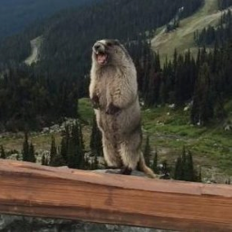 GunbladeSenpai-SporeLizardScream icon