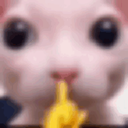 HAMINPANTS-LethalVocabulary icon