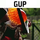 HIFU-YetAnotherGupFix icon