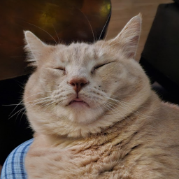 HOMESTEAD-Homestead icon