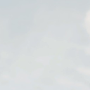 Haavex-LambieLethalCompany icon