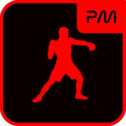 HabibiStudios-PunchFixPatch6 icon