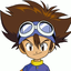 HallowsMods-Digimon_DigiDestined-1.1.0 icon