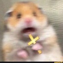 Hamster-HamsterPack icon