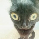 Hanzo90-For_funzies_hehe icon