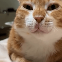 Heaveniguess-heavens_cruisertunes_extras icon