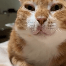 Heaveniguess-heavens_cruisertunes_extras icon