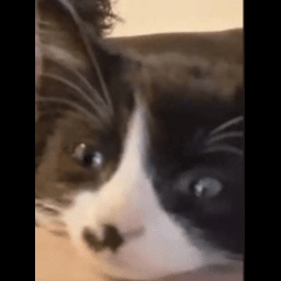 Heaveniguess-heavens_variety_mod icon