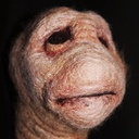 HectorAlligator-QoLVanillaFriendlyModpack icon