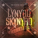 HellF1re24-FreeBirdJetPack icon