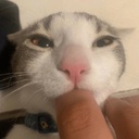 Henl-HenlModpack icon