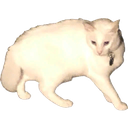 HiccupScrapTeam-HiccupScraps icon
