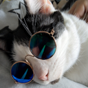 Hidden_Mods-H1ddnMod icon