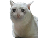 HighSchoolGirlLubu-WeAreGoinToDie icon