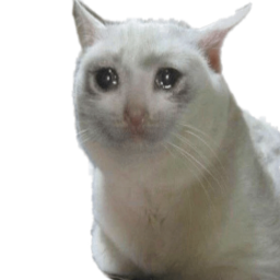 HighSchoolGirlLubu-WeAreGoinToDie icon