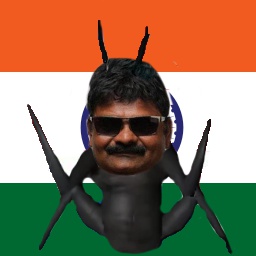 Hildebert-Hildebert_Angry_Indian_Scammer_Bug icon