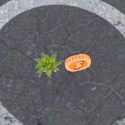 Hirokhai-SellableWeed icon