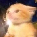 HoloPenguinInc-HoloModpackTest icon