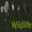 Horem-Wildlife-0.0.1 icon