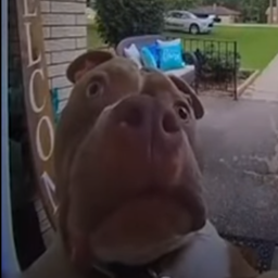 HotYoungMen-MenPack icon