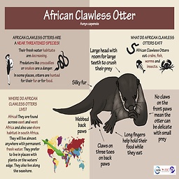 HouseOfFreaks-Otter_More_Suits icon