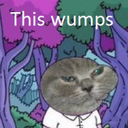 House_of_Judo-Risk_of_Wumps icon