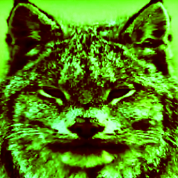 Huntress-Huntresses_ChortleModel_for_LC icon