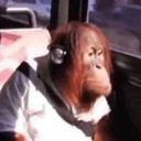 HztoINC-HztoTest icon