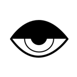 I0-I0s_Lethal_Company icon