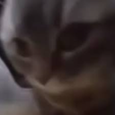 IBI-ChipiChipiChapaChapaDubiDubiDabaDaba icon