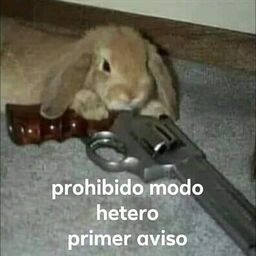 IDKWHATIM_DOING-JustAModPack icon