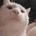 IDOT-Idiots_Get_Hard icon