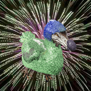 ISEBO-Isebo_Mod_Pack icon