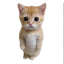 IamKikin-KikinsChanges icon