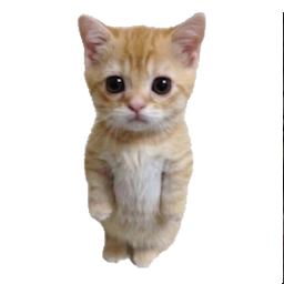 IamKikin-KikinsChanges icon