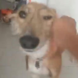 Ilid-IlidsPersonalModpack icon