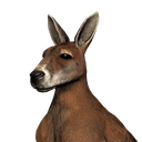 Imagine_Dying98-JaydensMods icon