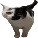 Imrock3-SuPayAnnMod icon