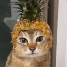 Index154-IndexModpack icon