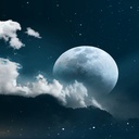 InefficientCompany-AstralsSuitCollection icon