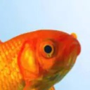 Insane_Idiots-fishs_modpack icon